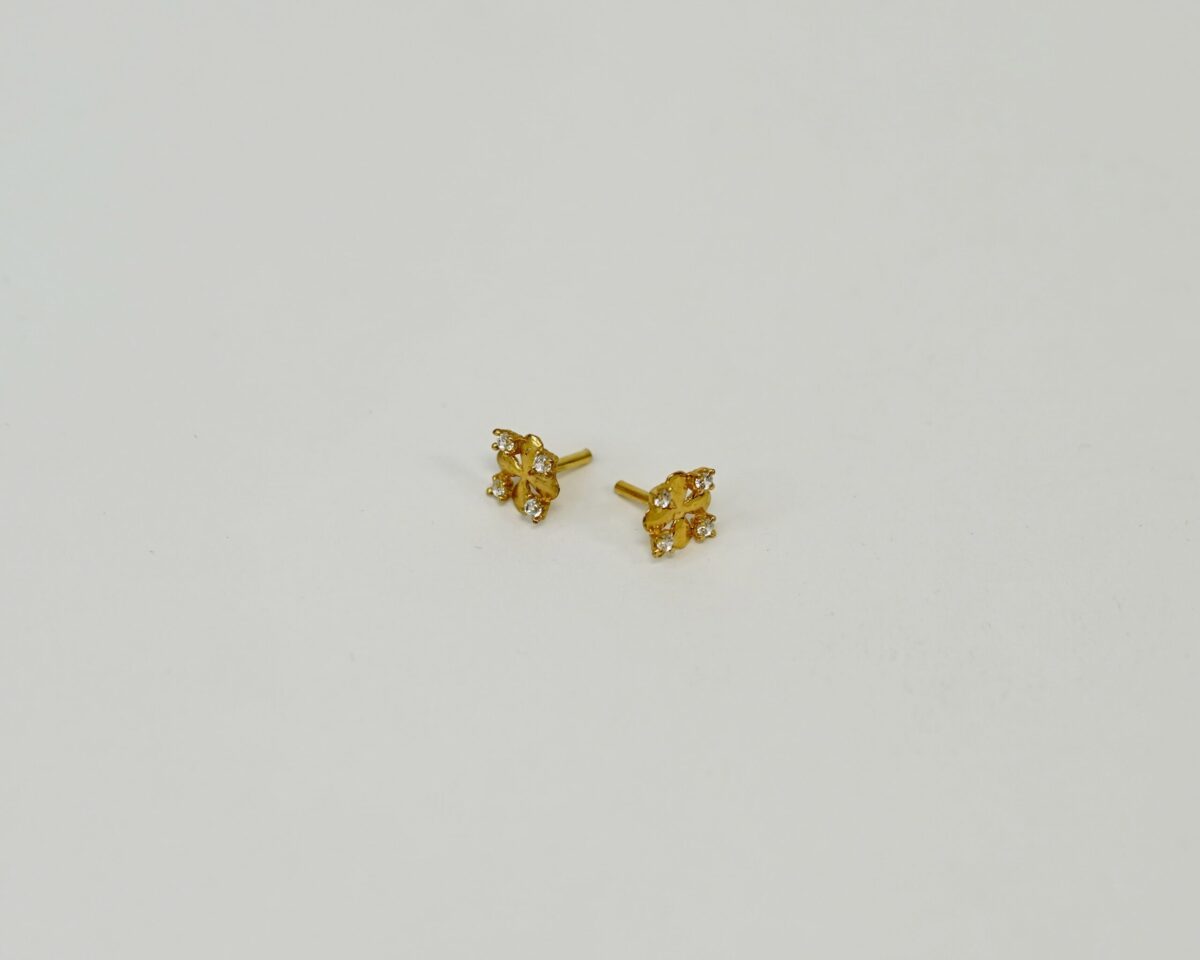 Stud Earring